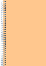 Load image into Gallery viewer, Light Orange