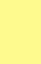 Load image into Gallery viewer, Light Yellow