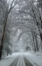 Load image into Gallery viewer, Snowy Roads