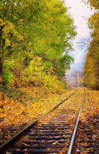 Load image into Gallery viewer, Train Tracks in October