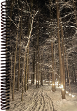 Load image into Gallery viewer, Winter Illumination
