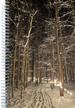 Load image into Gallery viewer, Winter Illumination