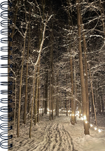 Load image into Gallery viewer, Winter Illumination