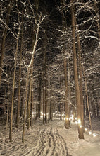 Load image into Gallery viewer, Winter Illumination
