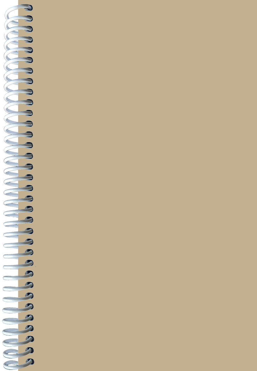 Custom Journal - Khaki – The Custom Journal