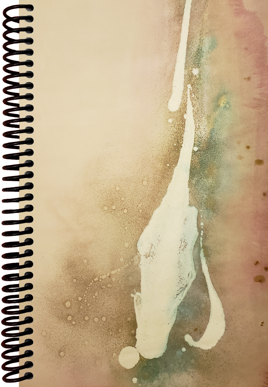 Calming Desert Marsh