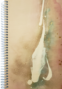 Calming Desert Marsh