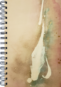 Calming Desert Marsh