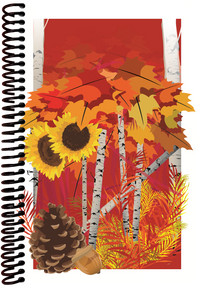 Fall Foliage