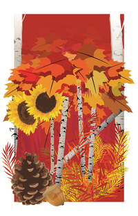 Fall Foliage