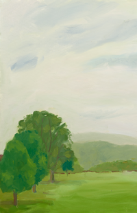 Peaceful Field