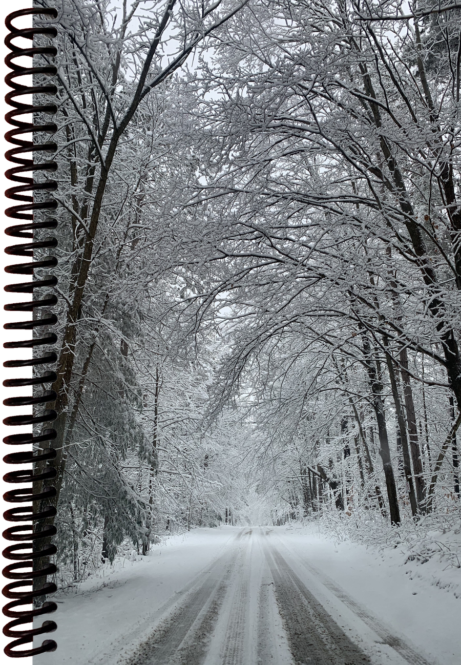 Snowy Roads