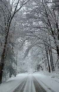 Snowy Roads