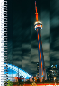 Toronto Views