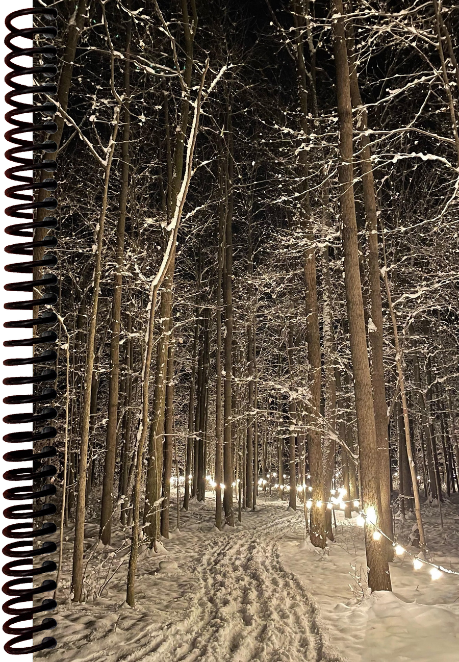 Winter Illumination