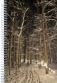 Winter Illumination