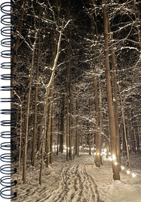 Winter Illumination