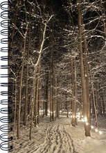 Load image into Gallery viewer, Winter Illumination
