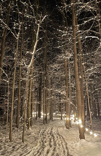 Winter Illumination