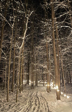 Load image into Gallery viewer, Winter Illumination
